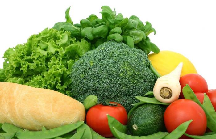 دراسة:
      الكلاب
      تغير
      ميكروبات
      الأمعاء
      بما
      يفيد
      الصحة
      النفسية