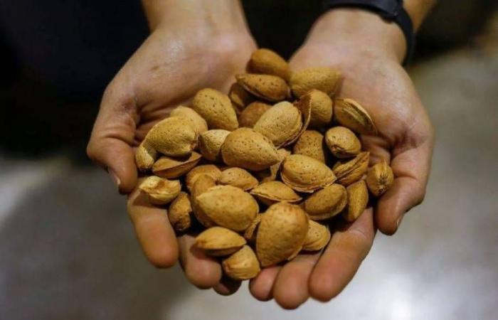 دراسة:
      الكلاب
      تغير
      ميكروبات
      الأمعاء
      بما
      يفيد
      الصحة
      النفسية