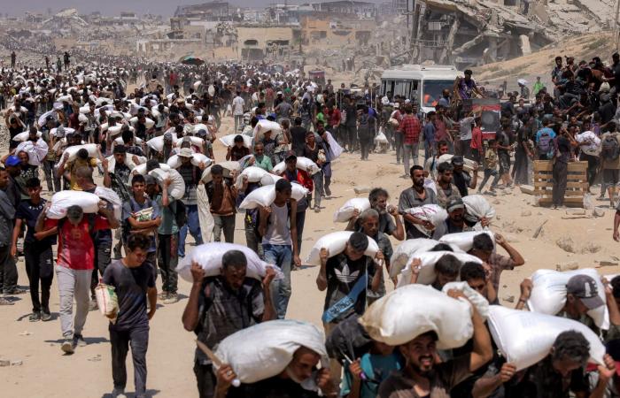 منظمة دولية: غزة لم تعد تعاني من المجاعة بعد تدفق المساعدات بوقف إطلاق النار