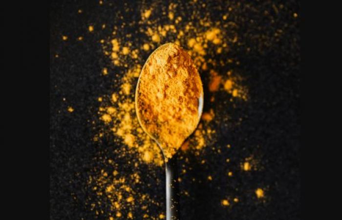 دراسة:
      الكلاب
      تغير
      ميكروبات
      الأمعاء
      بما
      يفيد
      الصحة
      النفسية