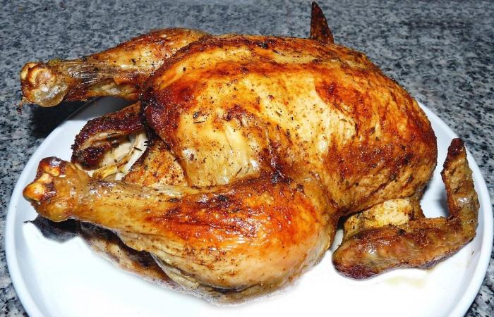 دراسة:
      الكلاب
      تغير
      ميكروبات
      الأمعاء
      بما
      يفيد
      الصحة
      النفسية