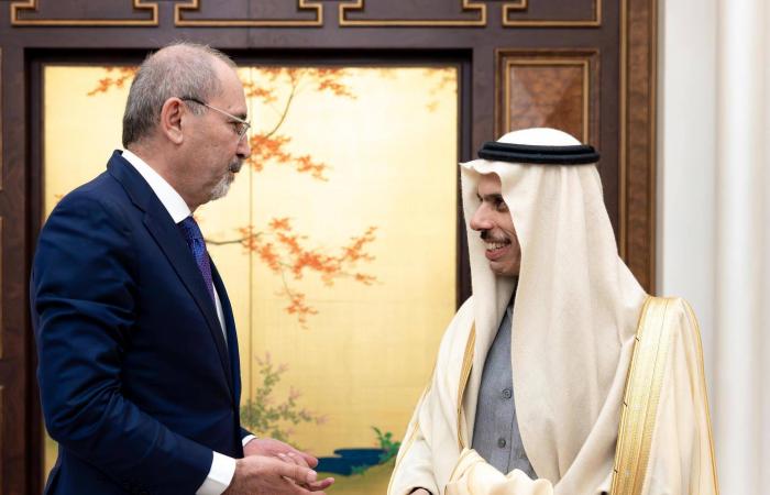 فيصل
      بن
      فرحان
      والصفدي
      يناقشان
      المستجدات
      الإقليمية
      والدولية