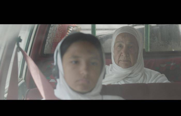 خيرية
      نظمي
      لـ«الشرق
      الأوسط»:
      حياتي
      الفنّية
      بدأت
      بعد
      الخمسين