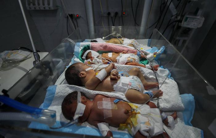 «حرب
      على
      الأمومة»...
      كيف
      أصبحت
      النساء
      الحوامل
      والأطفال
      أهدافاً
      في
      النزاعات؟