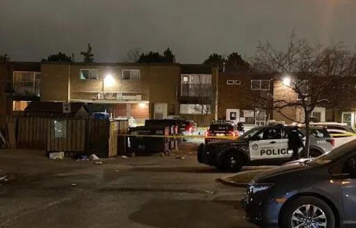 Male
      shot
      by
      police
      after
      stabbing
      leaves
      2
      injured
      in
      Toronto's
      northwest
      end