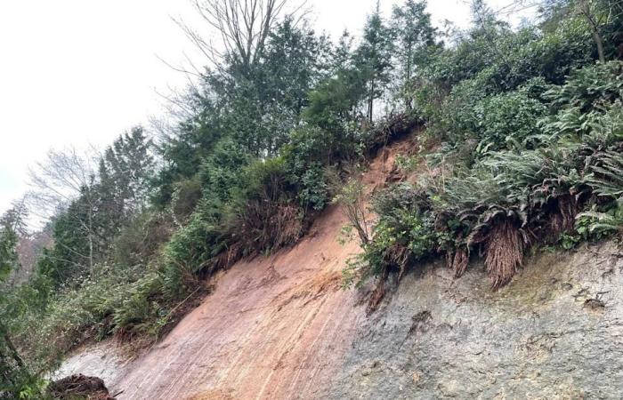 Mudslide
      closes
      part
      of
      Vancouver's
      Stanley
      Park
      Seawall
      after
      heavy
      rains