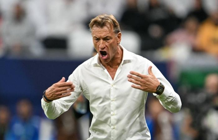 رينارد
      قبل
      المونديال...
      البقاء
      مع
      «الأخضر»
      أم
      رحيل
      على
      طريقة
      كالديرون؟