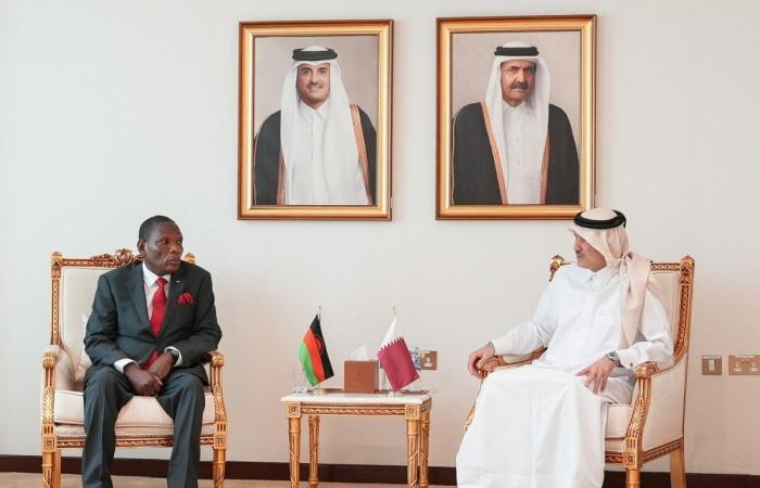 وزير الدولة لشؤون التجارة الخارجية يجتمع مع وزير المالية والتخطيط الاقتصادي واللامركزية في ملاوي