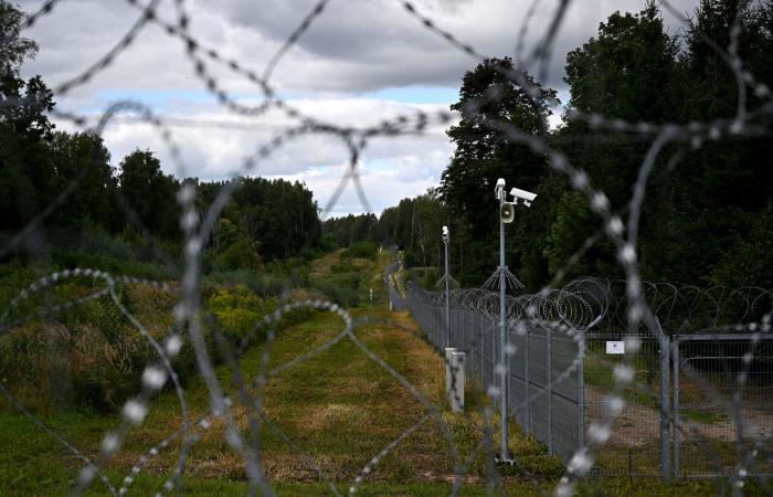 كيف تحولت واحدة من أخطر الأماكن في أوروبا إلى جنة برية بدون قصد؟