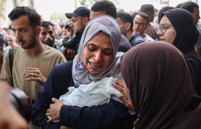 «حرب
      على
      الأمومة»...
      كيف
      أصبحت
      النساء
      الحوامل
      والأطفال
      أهدافاً
      في
      النزاعات؟