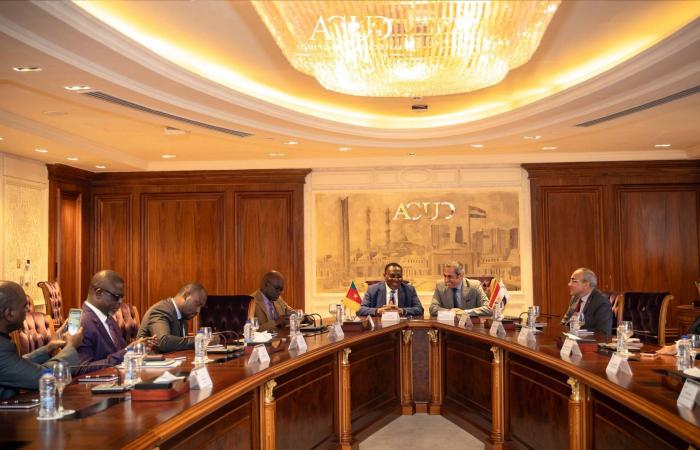 مصر
      تشجع
      السفارات
      الأجنبية
      على
      الانتقال
      إلى
      العاصمة
      الجديدة