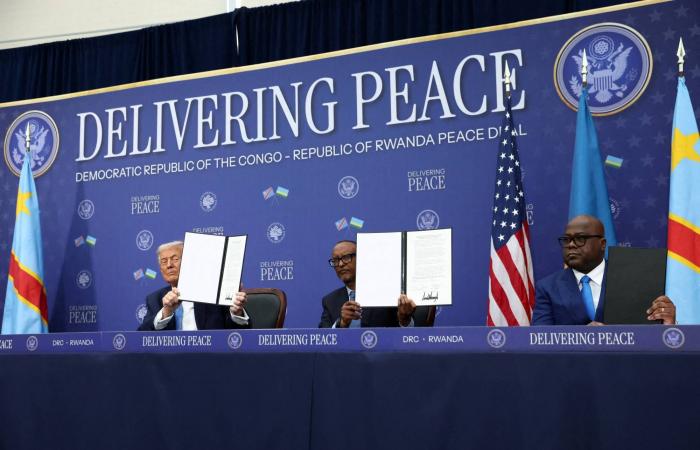 ملفات
      إبستين
      تلاحق
      إدارة
      ترمب