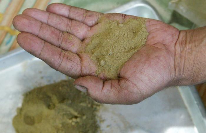 السعودية تعلن إعدام مواطن يروج الحشيش "للمرة الثانية" بالنقل