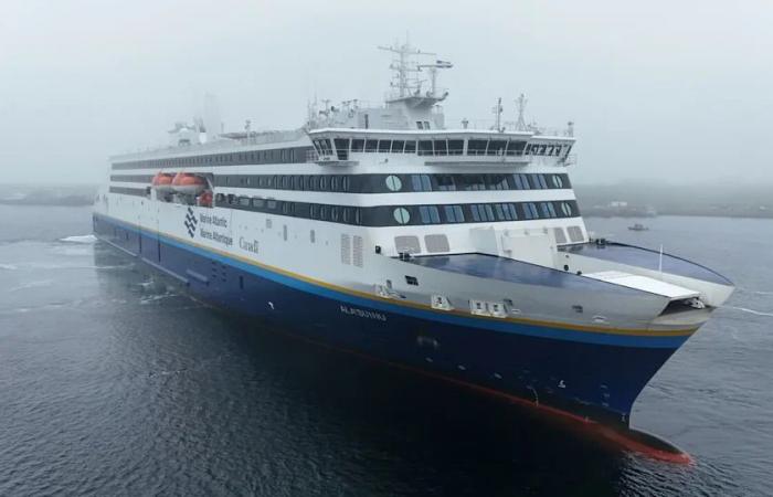 Wild
      weather
      stops
      holiday
      parcels
      in
      their
      tracks,
      leaving
      N.L.
      customers
      frustrated