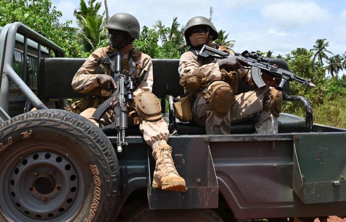 في تصريحات لـCNN.. أول تعليق نيجيري رسمي عن الضربة الأمريكية ضد "داعش"