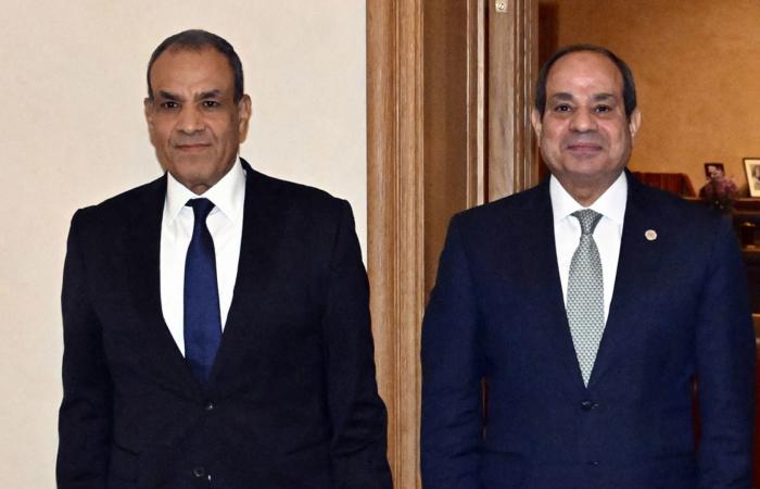 وزير خارجية مصر يدعو سوريا "للاستفادة من قيم مصرية".. ويبين خطوطا حمراء بملف سد النهضة