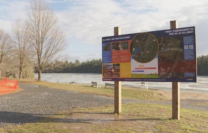 Off-leash
      dog
      trails
      at
      Killarney
      Lake
      Park
      to
      become
      permanent
      for
      half
      of
      every
      year