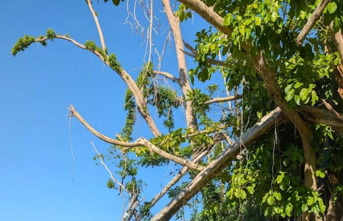 This
      Waterloo
      woman
      wants
      your
      extra
      clothes
      to
      help
      Hurricane
      Melissa
      survivors
      in
      Jamaica