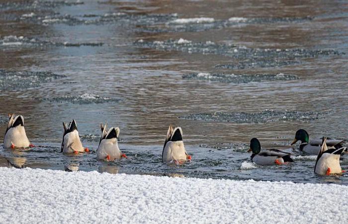 On
      the
      Road:
      Along
      the
      Bow