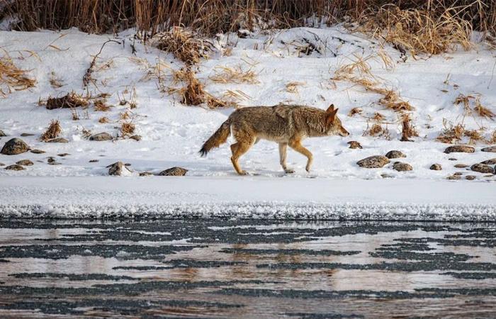 On
      the
      Road:
      Along
      the
      Bow