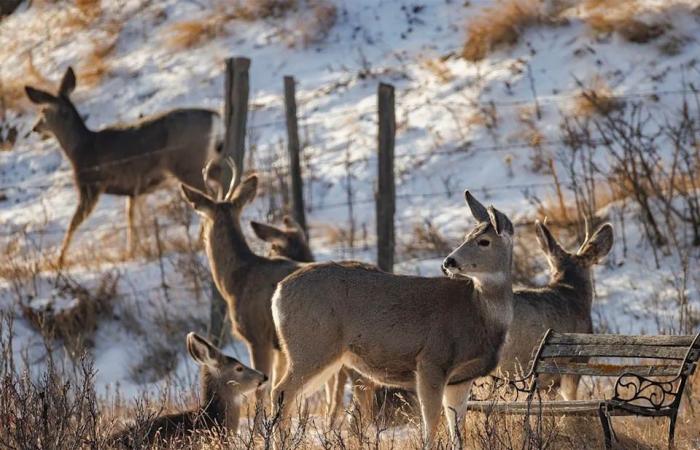 On
      the
      Road:
      Along
      the
      Bow
