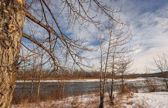 On
      the
      Road:
      Along
      the
      Bow