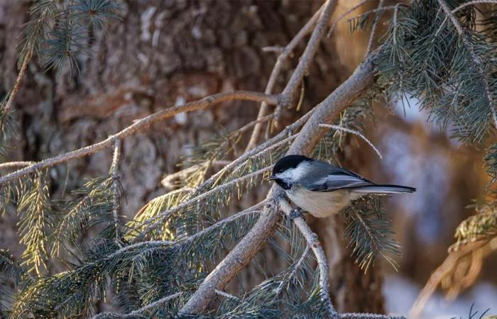On
      the
      Road:
      Along
      the
      Bow