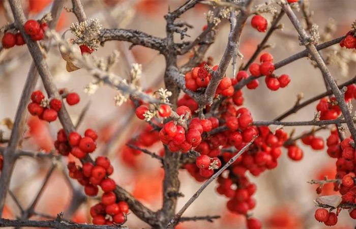 On
      the
      Road:
      Along
      the
      Bow