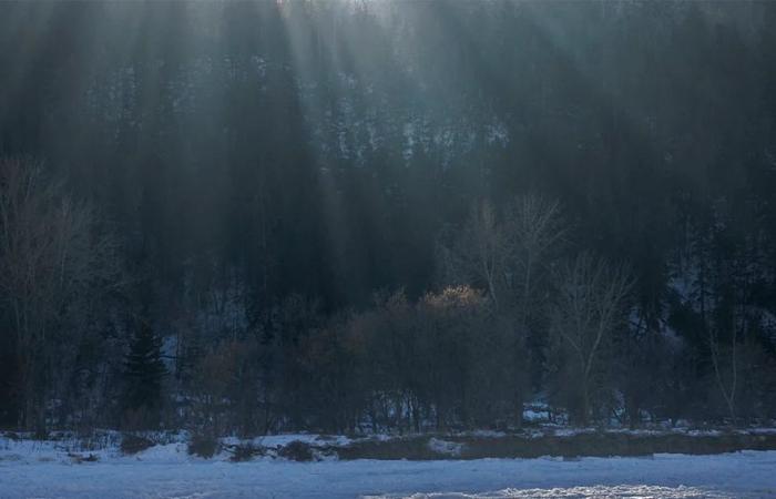 On
      the
      Road:
      Along
      the
      Bow