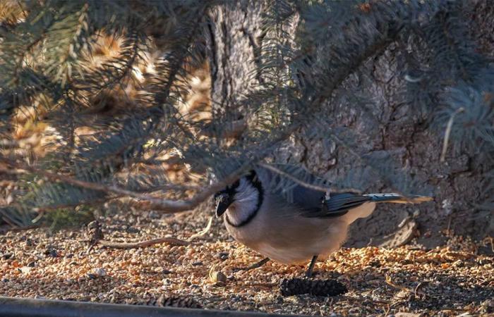 On
      the
      Road:
      Along
      the
      Bow