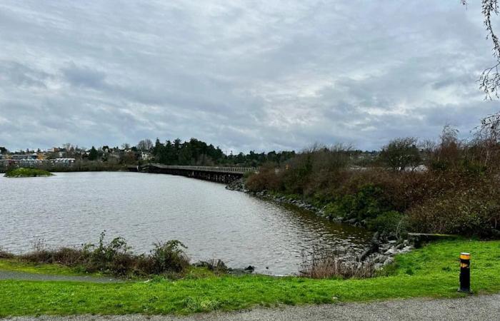 Victoria,
      Esquimalt
      enter
      contest
      for
      swimming
      dock
      funding