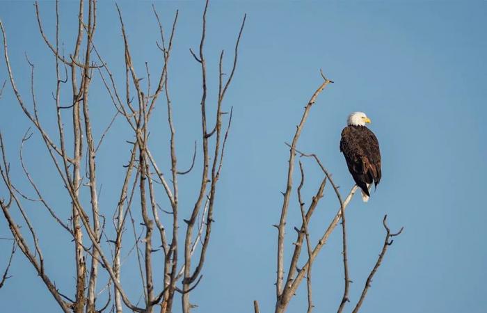 On
      the
      Road:
      Along
      the
      Bow