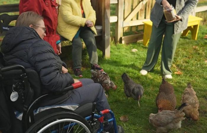 Inside
      a
      B.C.
      ‘dementia
      village'
      that
      researchers
      hope
      could
      reshape
      long-term
      care