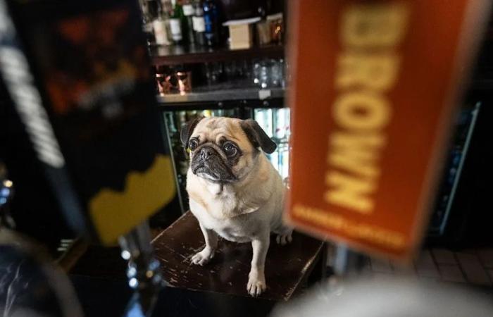 In
      the
      eye
      of
      the
      beholder:
      Herald
      photographers
      pick
      fave
      shots
      of
      the
      year