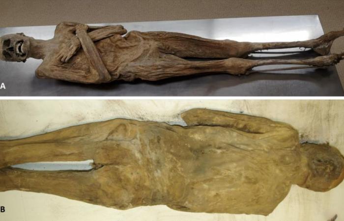 منها أصول البطاطا الغامضة.. إليك أبرز ألغاز تاريخية حلّها العلم في العام 2025