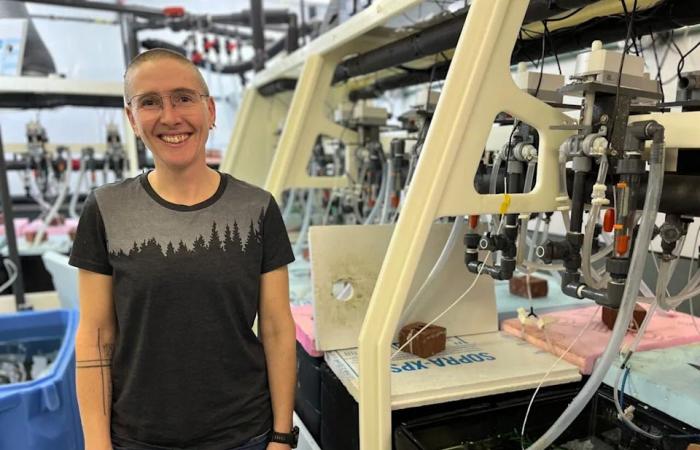 Why
      a
      tiny
      green
      crab
      could
      be
      a
      big
      problem
      in
      Quebec