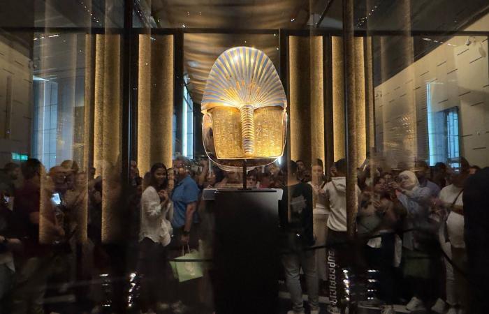 الفنادق
      المصرية
      كاملة
      العدد
      بموسم
      إجازات
      «رأس
      السنة»