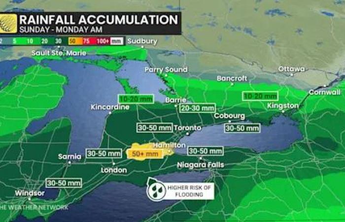 High-impact
      winter
      storm
      bears
      down
      on
      Ontario,
      outages
      possible