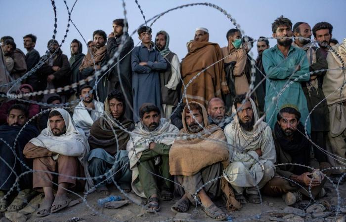 رئيس
      الوزراء
      الباكستاني
      يشيد
      بقوات
      الأمن
      بعد
      قتل
      إرهابيين