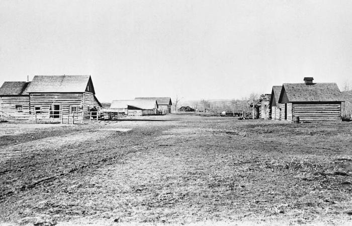 Before
      robbing
      trains
      in
      the
      States,
      the
      Sundance
      Kid
      was
      a
      cowboy
      in
      Alberta
