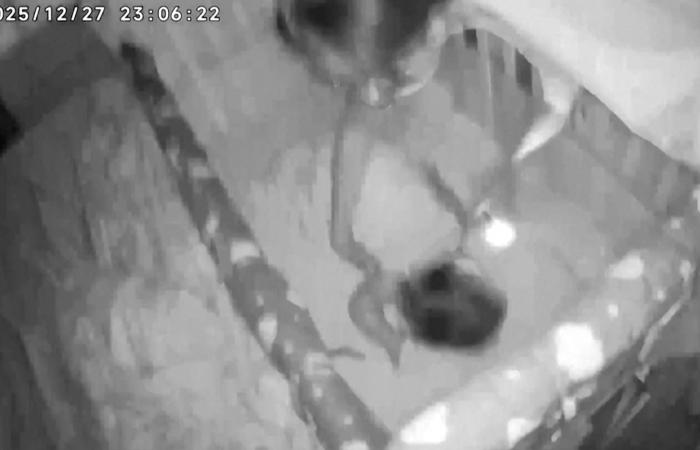 شاهد إسراع أم لحماية طفلها وسط زلزال بقوة 7 درجات في تايوان