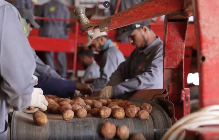 تنفيذ
      «المجموعة
      الثالثة»
      من
      تطوير
      طرق
      الرياض
      بقيمة
      2.13
      مليار
      دولار