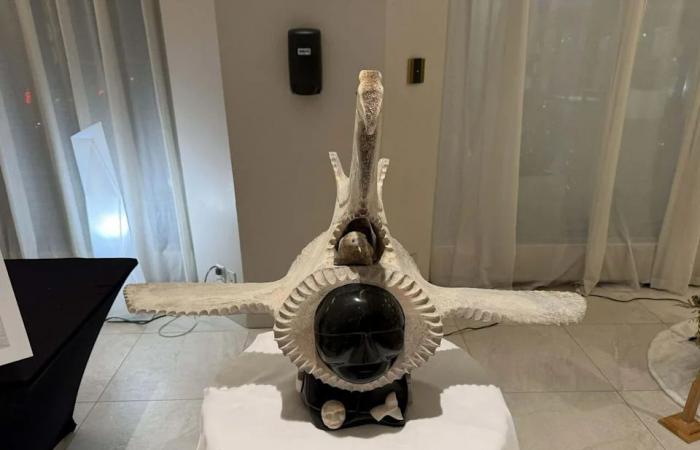 'Carving
      is
      what
      turned
      my
      world
      around,'
      says
      Labrador
      man