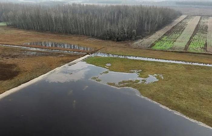 ‘It’s
      getting
      worse
      year
      after
      year’:
      Could
      water
      from
      Hungary’s
      thermal
      spas
      save
      arid
      farmland?