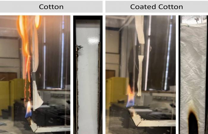 بحوث
      التوحُّد
      تؤكِّد
      الجذور
      الجينية
      القوية
      وتنفي
      أي
      علاقة
      باللقاحات