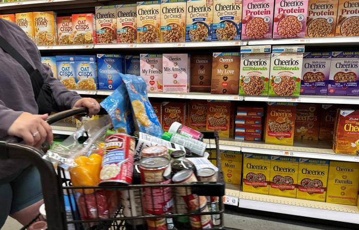 جورج
      كلوني
      وزوجته
      أمل
      وطفلاهما
      يحصلون
      على
      الجنسية
      الفرنسية