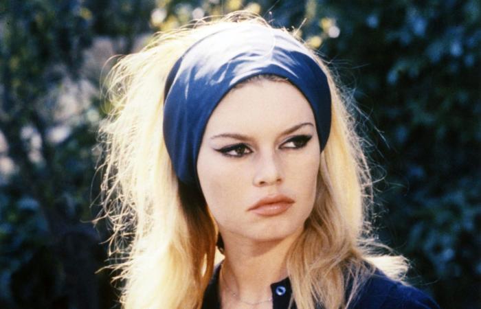 بريجيت باردو.. أيقونة الأناقة و"قطة الإغراء" الفرنسية تحت سقف المحافظة اليمينية