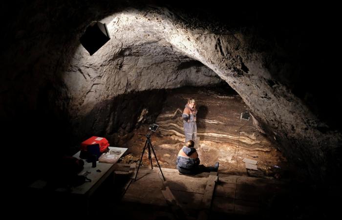 في العام 2025.. العلماء يكشفون أكبر لغز في تطور الإنسان