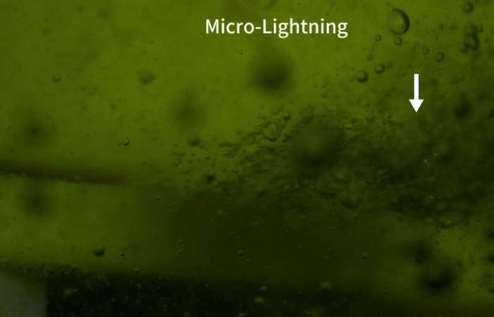 إليكم حقائق مذهلة اكتُشفت عن كوكب الأرض في العام 2025