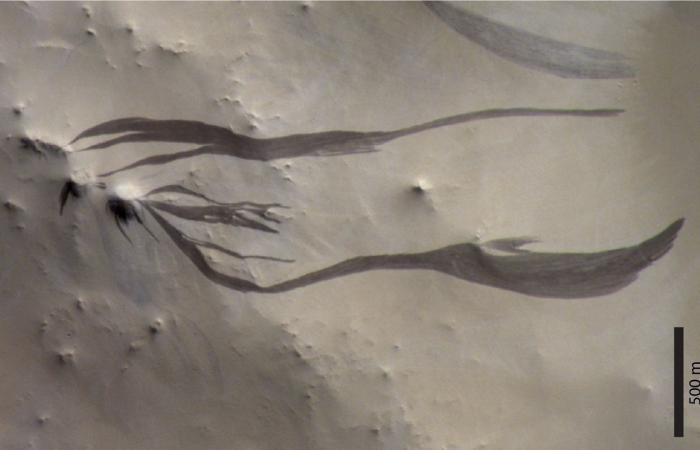 بحوث
      التوحُّد
      تؤكِّد
      الجذور
      الجينية
      القوية
      وتنفي
      أي
      علاقة
      باللقاحات